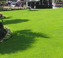 Summer Landscaping & Sweeping Services